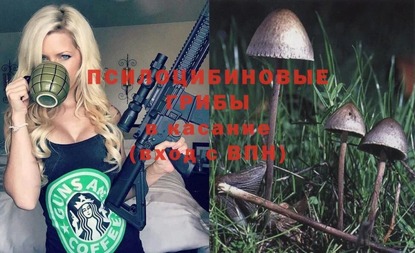 мяу мяу кристалл Козловка