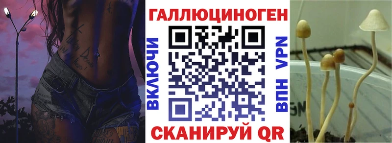 Галлюциногенные грибы Psilocybine cubensis  Купить закладки  Чадан 